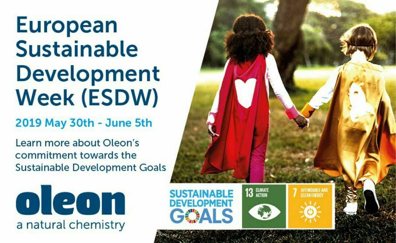 ESDW, our commitment towards the UN SDGs: Affordable & Clean energy and Climate Action