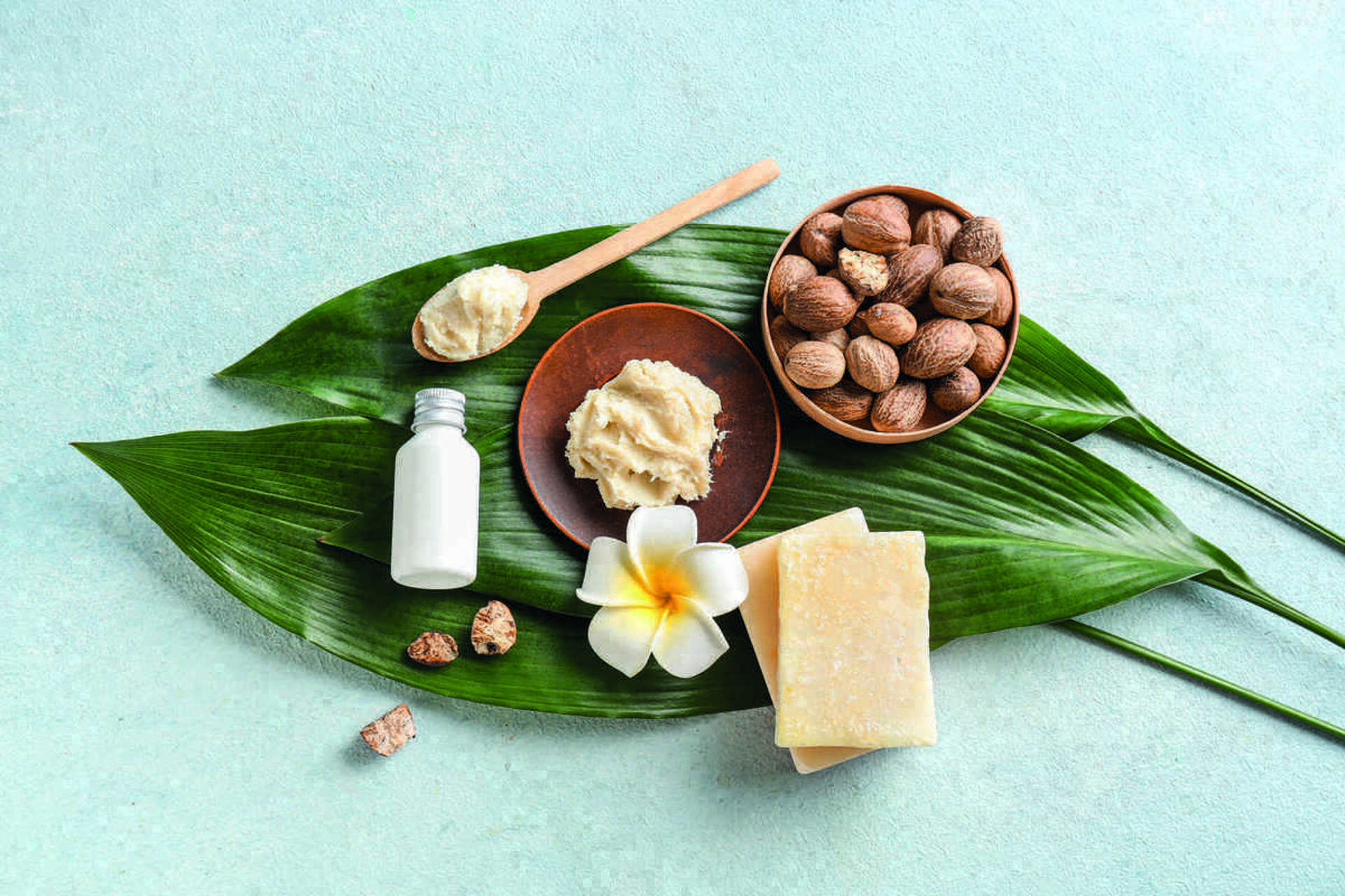 shutterstock 1434320345