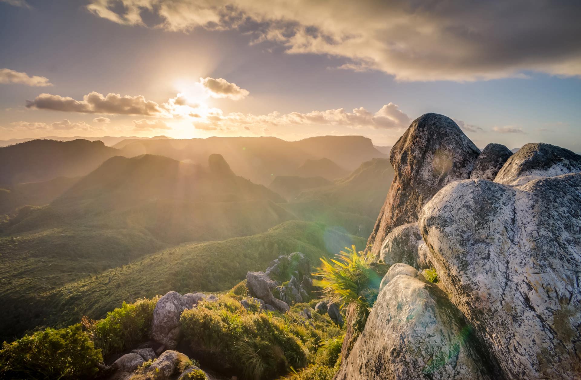 Landscape in the evening sun